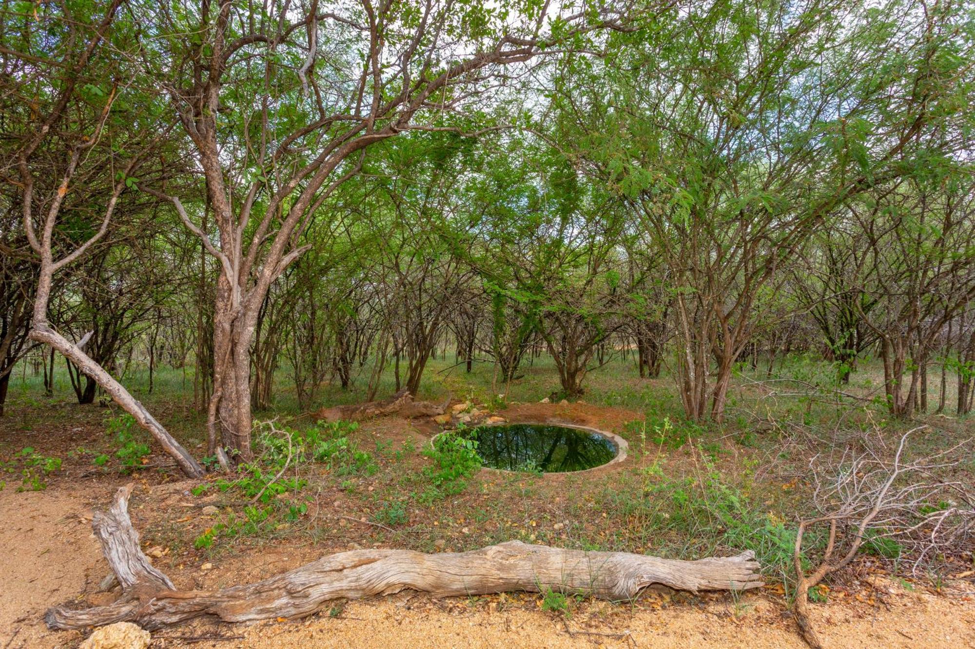 Villa The Bush House Hoedspruit Exterior foto